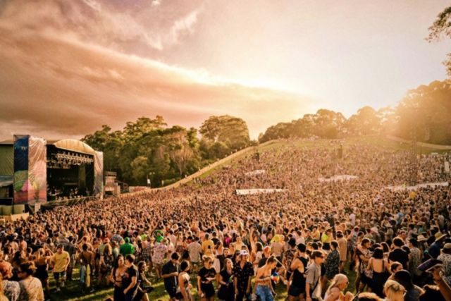 Splendour in the Grass